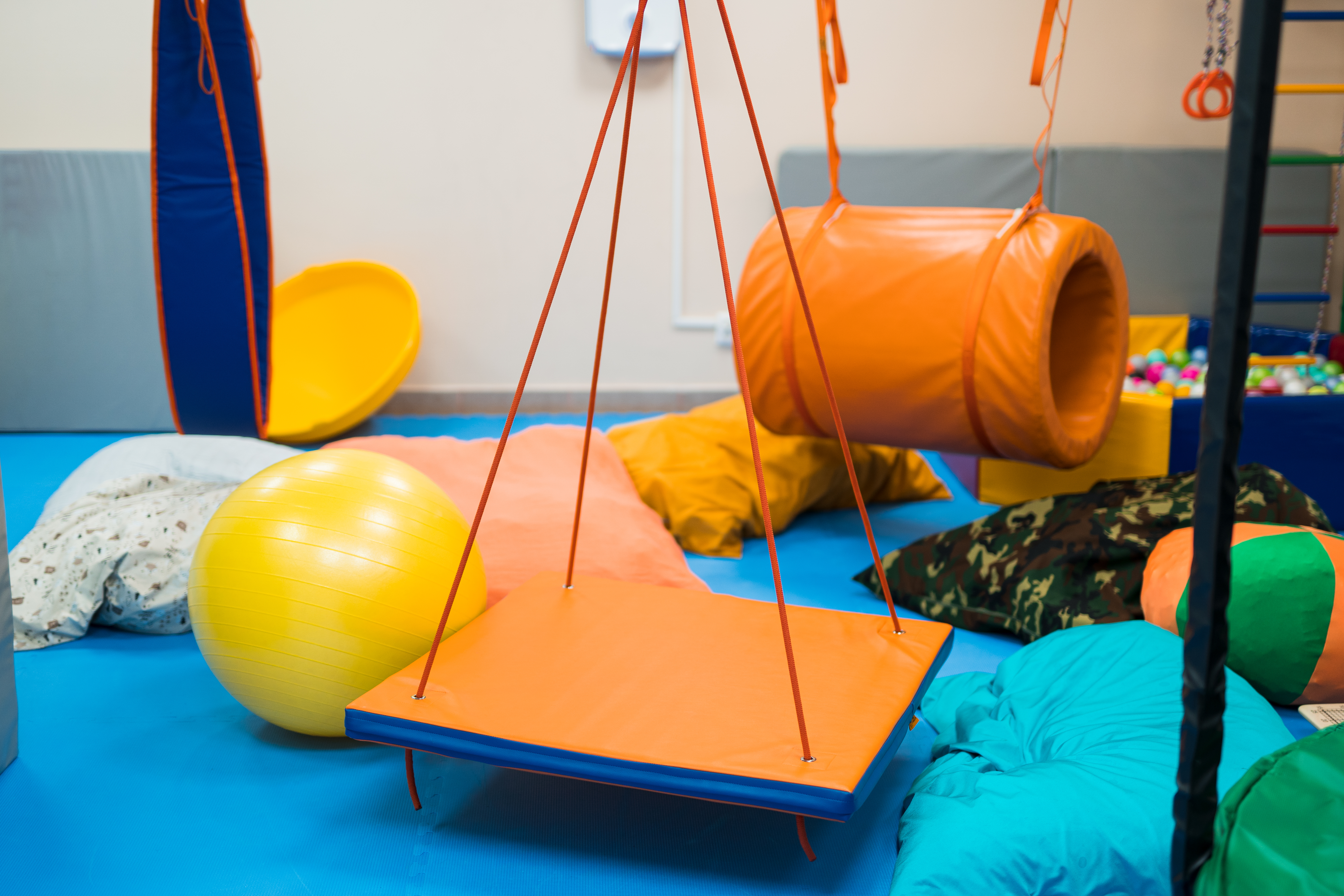 Сенсорная интеграция (СИ) и мозжечковая стимуляция (МС)