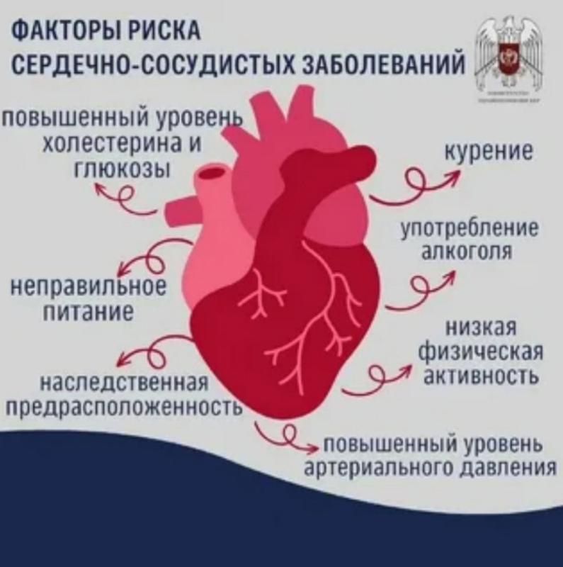 Самые распространенные заболевания сердечно-сосудистой системы