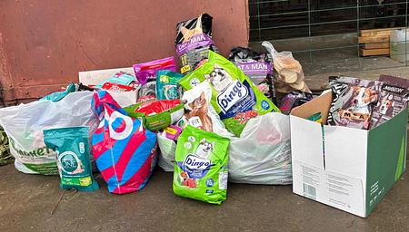 Дай лапу, друг!