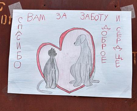 Дай лапу, друг!