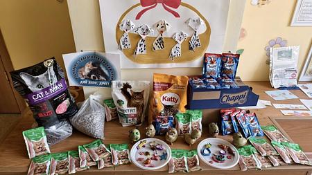 Дай лапу, друг!